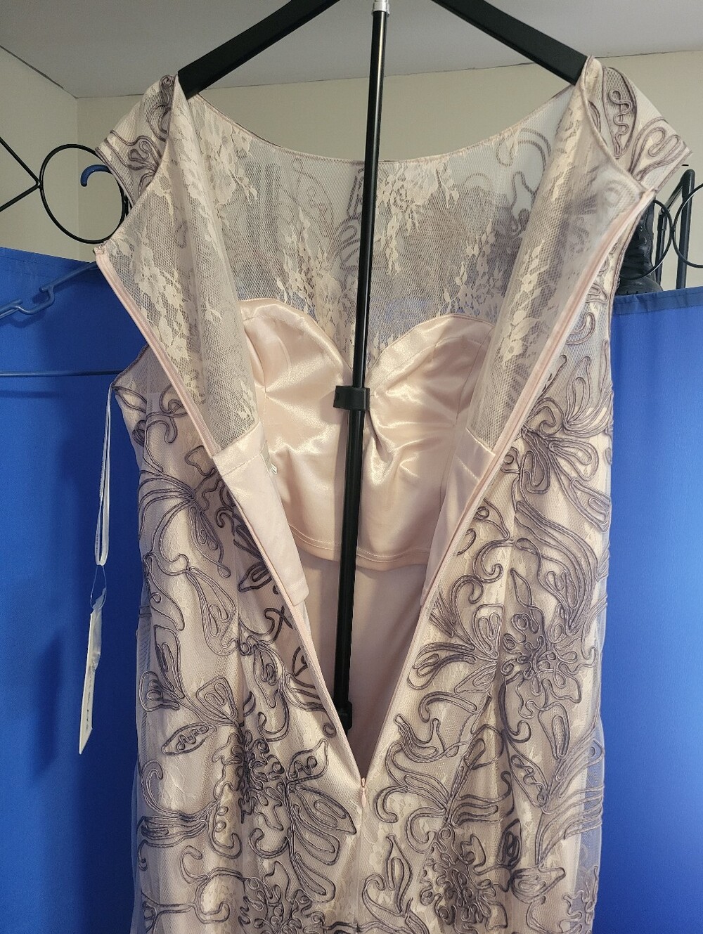 Cameron Blake Blush Maxi Dress with Silver Embroidery - Picture 7 of 9